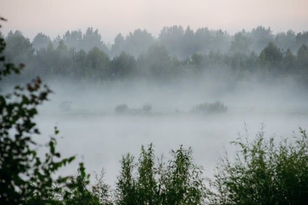 Morning fog in the river valley.の写真素材