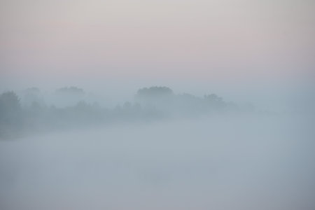 Morning fog in the river valley.の写真素材