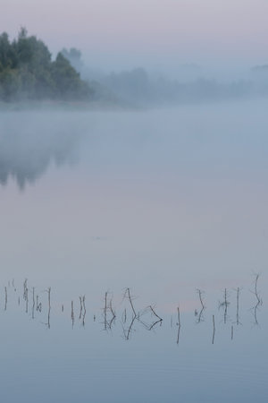 Morning fog in the river valley.の写真素材