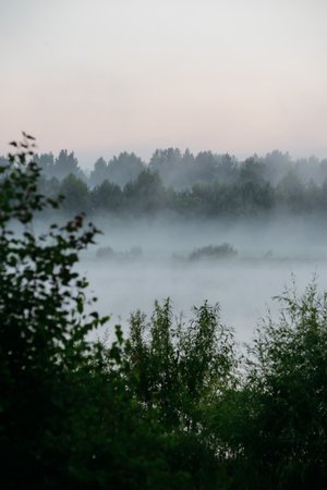 Morning fog in the river valley.の写真素材
