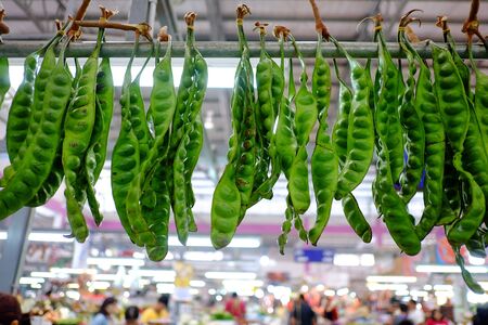 A row of bitter beans hanging on a metal hanger and selling at the local market in Thailand