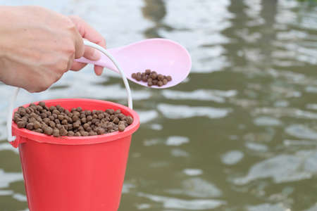 Close up fish meal in a red bucket with a male hands and a river water viewの写真素材