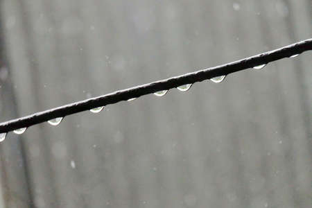Rain drops on a metal wire. Rain drops on a metal wire.