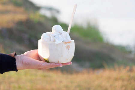 A Thai style of milk coconut ice cream on a female hand with green park backgroundの写真素材