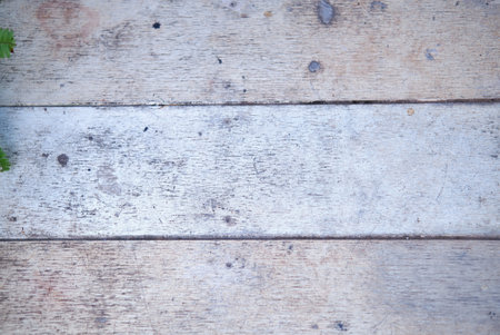 Wooden texture background with space for text or image. Floor surface