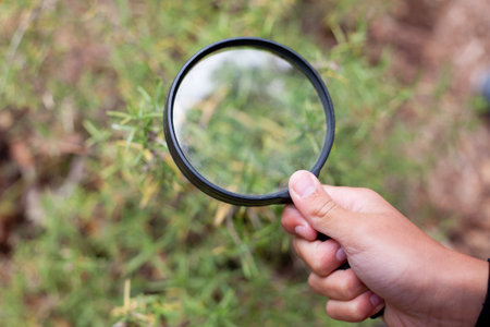 A child's hand holds a magnifying glass, using it to observe a plant inquisitively, delving into the wonders of nature up close.の写真素材
