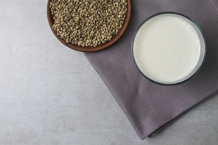 Homemade milk from hemp seeds. There is a glass of milk and clay bowl with hemp seeds on the concrete surface.の写真素材