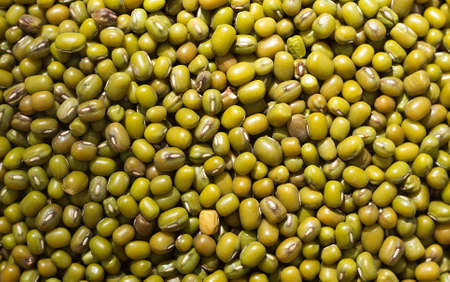 Mung bean is a legume native to Asia, small greenish pea beans. In Asia, for centuries, thick soups and strong aromatic cereals with spices have been cooked from it.の写真素材