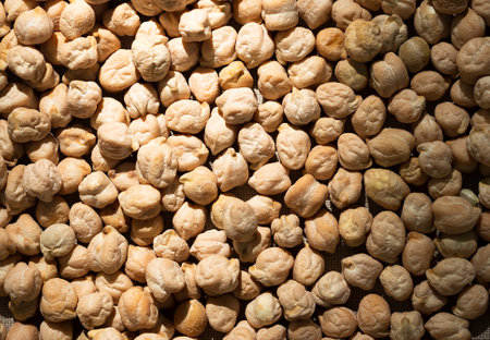 Chickpea mutton, or chickpea, it is also cultivated chickpea and mutton is a herbaceous plant of the legume family, a legume crop. Food background.の写真素材