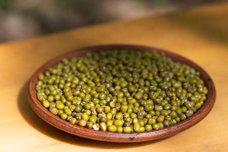 Mung bean is a legume native to Asia, small greenish pea beans. In Asia, for centuries, thick soups and strong aromatic cereals with spices have been cooked from it.の写真素材