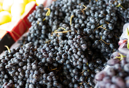 Ripe, sweet, seedless black grapes on the showcase of a vegetable counter.の写真素材