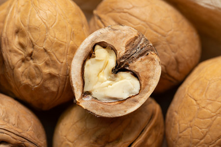 Walnut kernels close up. Half of a walnut in the shape of a heart.の写真素材