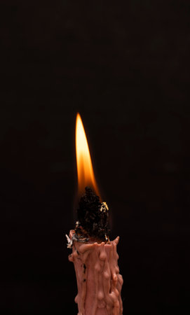 Wax candle with a handmade twist of natural herbs. The candle burns on a black background. high quality photoの写真素材