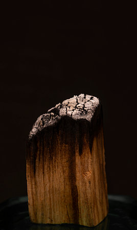 Close-up of a palo santo stick on a black background. high quality photoの写真素材