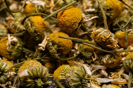 Background in the form of dried chamomile flowers. Ingredient for herbal tea, medicinal decoction. high quality photoの写真素材