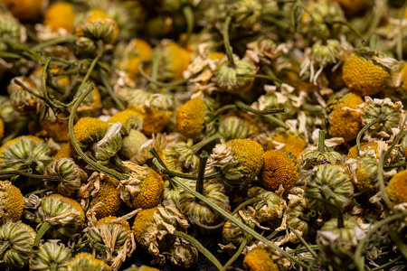 Background in the form of dried chamomile flowers. Ingredient for herbal tea, medicinal decoction. high quality photoの写真素材