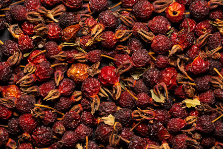 Background of dried ripe wild roses. superfood. high quality photoの写真素材