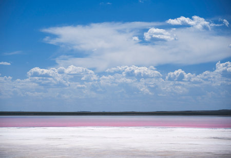 Akmola region, June 2022, pink lake Kobeytuz. high quality photoの写真素材