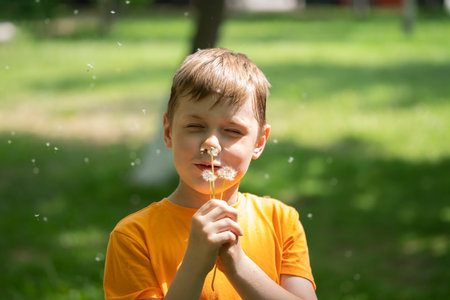 A blond boy of eight years blows on dandelions. high quality photoの写真素材