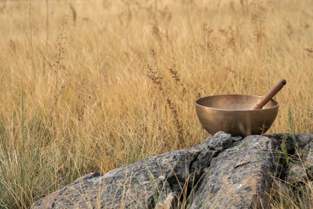 A Tibetan singing bowl stands on a stone in a field. high quality photoの写真素材