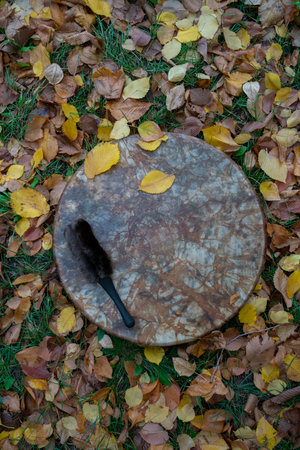 A shaman's tambourine made of leather lies on autumn leaves genuine. High quality photoの写真素材