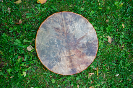 A shaman's tambourine made of leather lies on the green genuine grass. High quality photo