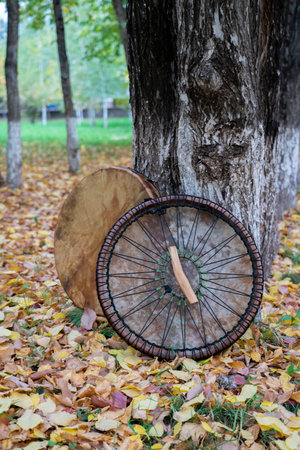 A shaman's tambourine made of leather lies on autumn leaves genuine. High quality photoの写真素材