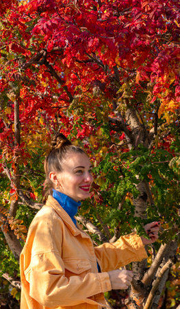 Young woman walking in the park in autumn. High quality photoの写真素材