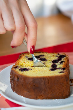 A piece of cake with currants on a plate.の写真素材