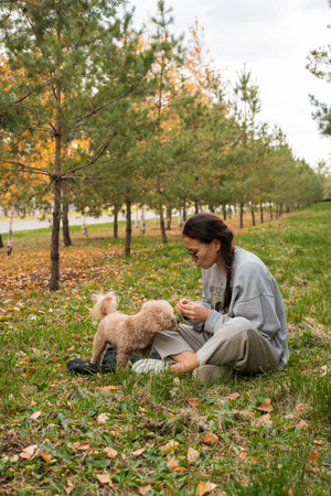 A young Asian woman sits on the grass and feeds her toy poodle. Autumn landscape. High quality photoの写真素材