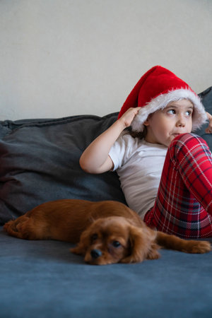 A five-year-old girl sits on the sofa with an English King Charles puppy.の写真素材