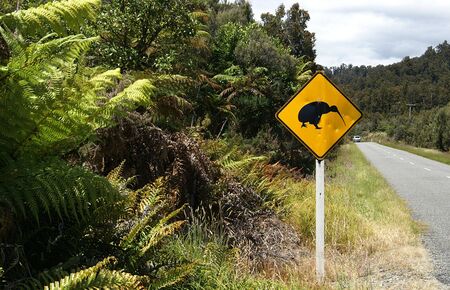 Heavily battered traffic sign depicting the endangered Kiwi bird of Ne Zealandの写真素材