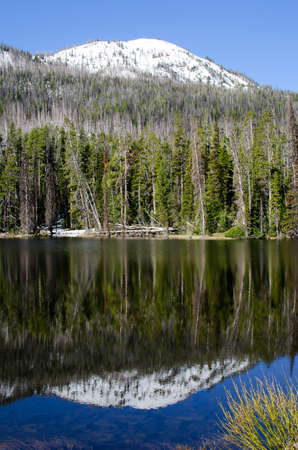 Reflection on Sylvan Lake, Yellowstone National Park, Wyoming, USAの写真素材