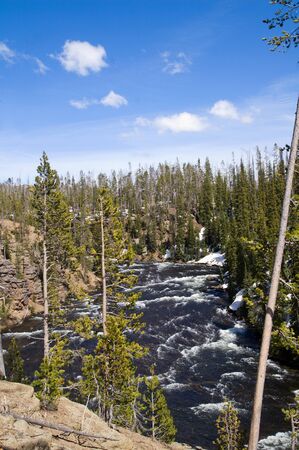 Cascades of the Lewis River near the South Entrance Road of the Yellowstone National Park, Wyoming, USAの写真素材