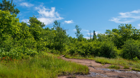 View over Lake Superior from one of the many view points along the Oberg Mountain trail in the Tofte Ranger District, Minnesota, USAの写真素材