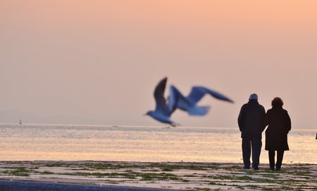Old Couple Walking Sunsetの写真素材