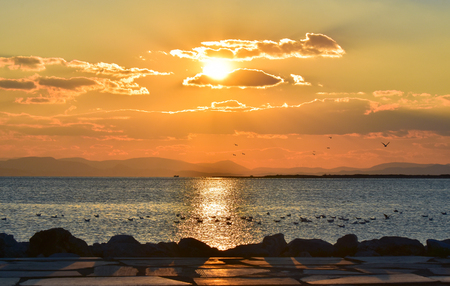 Bird flying and swimming on the sea at sunset, in silhouette. Sun between clouds and seagulls flying.の写真素材