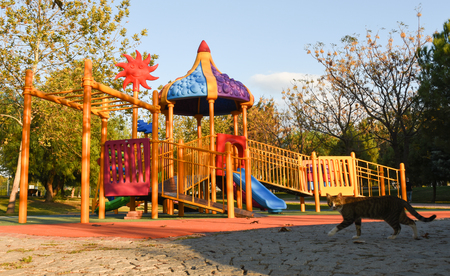 Playground in public parks. Colorful playground for children.の写真素材