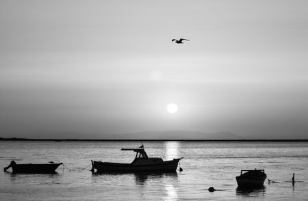 Fishing boat on sea at dusk and a seagull flying. Black and white photo.