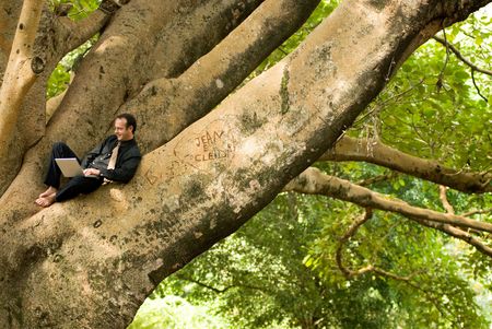 Latin american businessman working on a laptop while sitting outdoors in a treeの写真素材