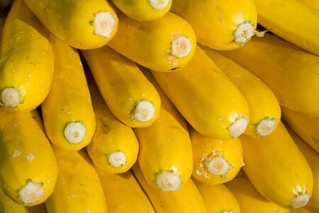 Bunch of yellow cucumbers. Horizontally framed photo.の写真素材