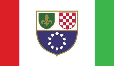 flag of bosnia and herzegovina, federation  vector icon illustrationのイラスト素材