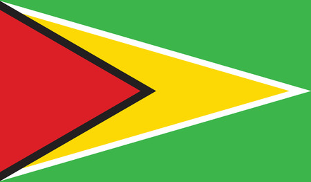 flag of guyana vector icon illustration