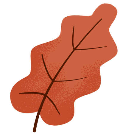 autumn red oak leaf with noise texture isolated on a white background.のイラスト素材