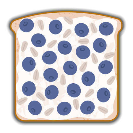 blueberry and cottage cheese sandwich with shadowのイラスト素材