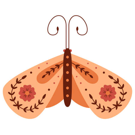 Folk style orange moth decorative graphic artのイラスト素材