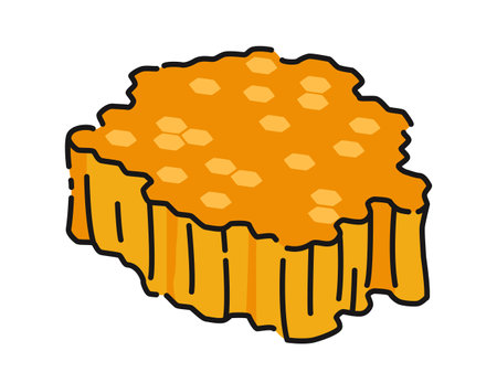 Piece of honeycomb. Vector cartoon illustration isolated on white backgroundのイラスト素材