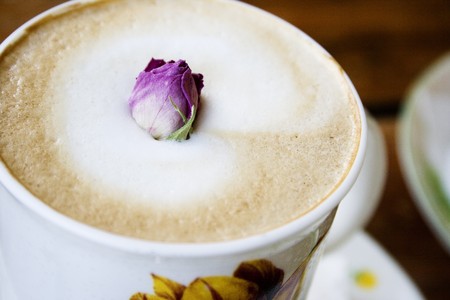 The head of a fancy cafe latte.  A rose bud has been placed on top for good measure. の写真素材