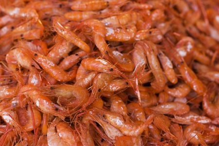 These are fried shrimps. They are on display at a restaurant.  の写真素材