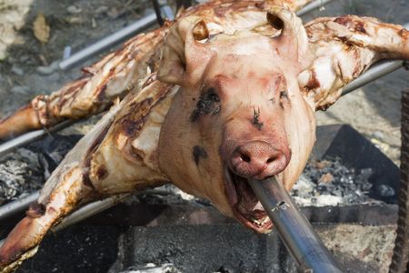 A pig on a roast spit.  This is at an aboriginal festival in Taiwan.の写真素材